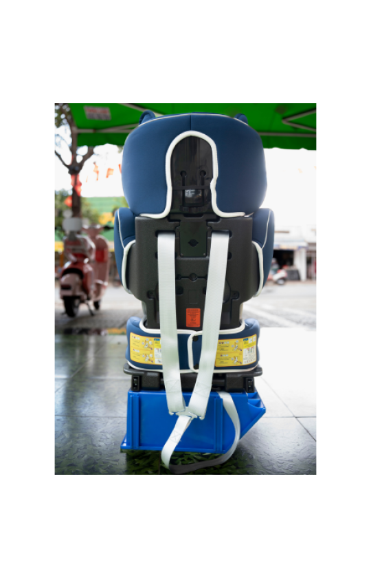 Ghế xanh tai gấu